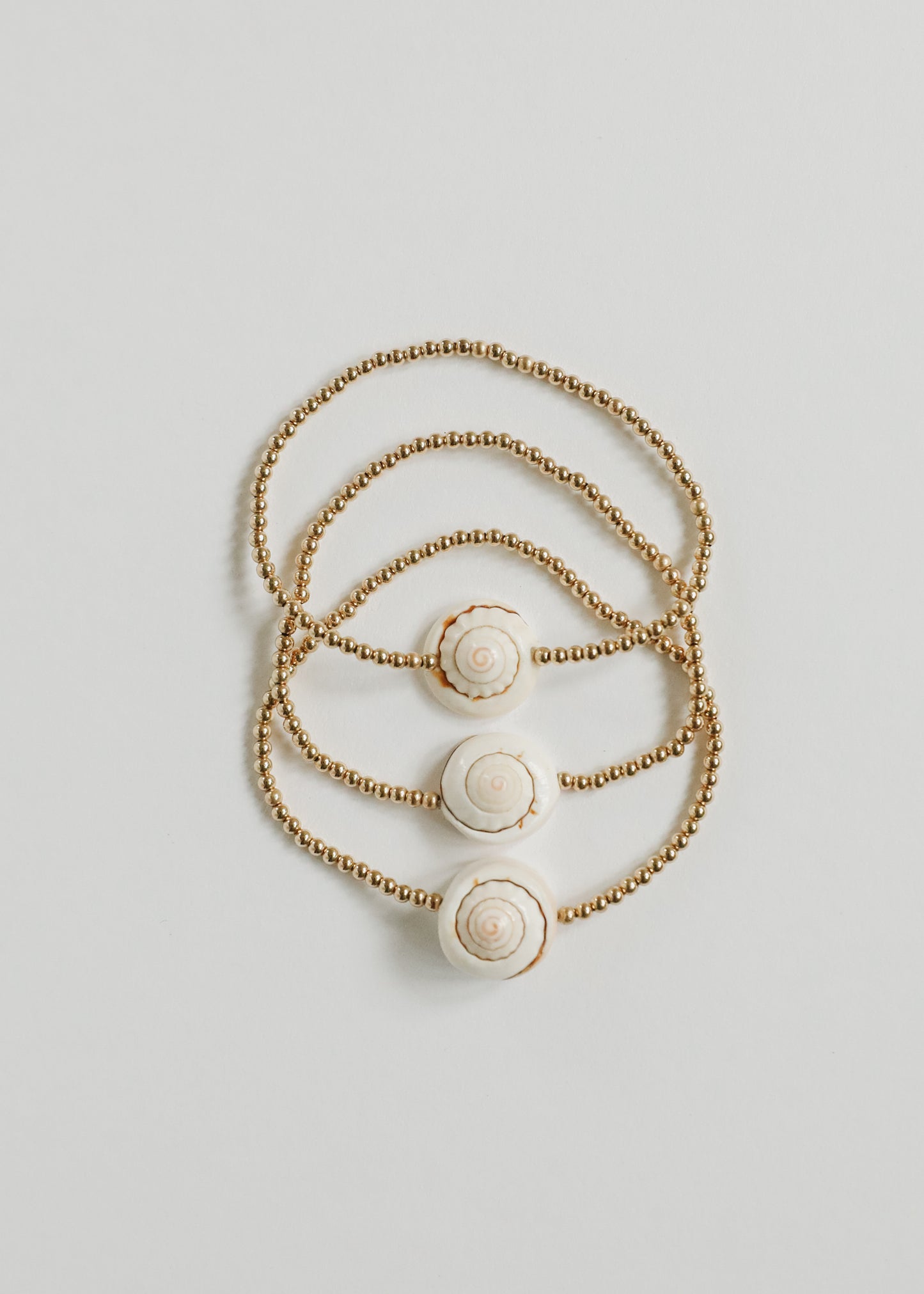 Oro delicado + Concha de mar || Tobillera o pulsera para adulto