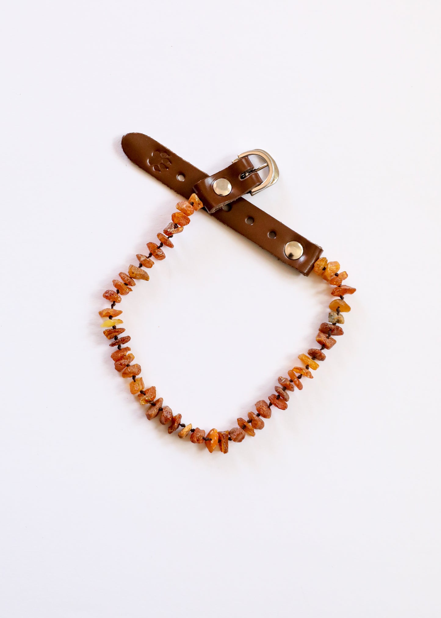 Pet Collar : Raw Baltic Sea Amber
